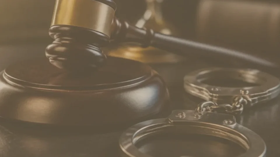 Court witness stand، advocacy stage — Communication and professional fit